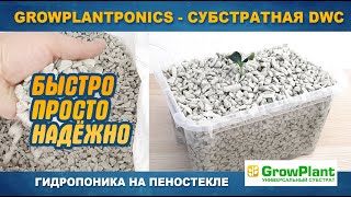 GrowPlantPonics - СУБСТРАТНАЯ DWC ГИДРОПОНИКА на пеностекле