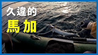 [Boat Fishing] 2024年第一隻魚在橡皮艇釣魚中出現 I 대만 지롱 근해 보팅지깅낚시