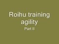 roihu training agility part ii