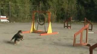 Roihu training agility, part II