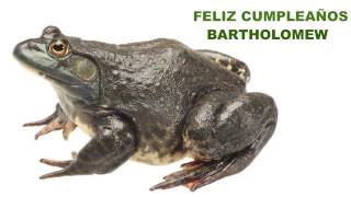 Bartholomew   Animals \u0026 Animales - Happy Birthday