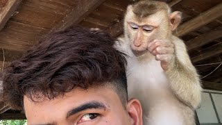 Amazing !! ASMR Monkey Grooming | Monkey Zueii Come To Offer Best Grooming For Me