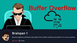 Buffer Overflow Lab - Brainpan 1 | Tryhackme | Binary Sherlock