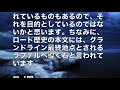 【ワンピース】最強生物四皇カイドウをどこよりも詳しくまとめてみた