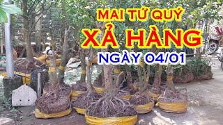 ANH TOÀN 📲 O337823849 GIÁ RẺ - MAI TỨ QUÝ GIAO LƯU NGÀY 04/01 \