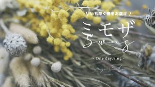 季節まで待ちきれない!【ミモザスワッグ】 vlog ｜ 花屋 ｜ ドライフラワー ｜ インテリア ｜ ユーカリ ｜ japan florist Dried flower mimosa swag