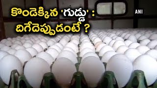 Egg price Hike: Here 3 Reasons మరో ఆరు నెలల వరకు ఇదే పరిస్థితి  | Oneindia Telugu