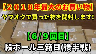 【第６回】2018年の遺産☆彡ヤフオクで買った物を遂に紹介します(； ･`д･´)！【購入品紹介♪】