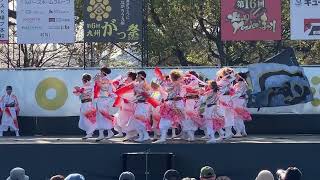 鹿児島国際大学 創生児(ファイナル演舞) [九州がっ祭 2022.03.27(日)]