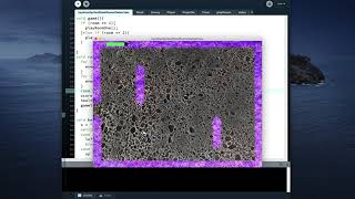 Programming the Final Game in Processing
