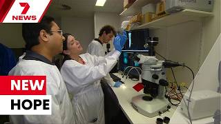 Major breakthrough for traumatic brain injury treatment | 7NEWS