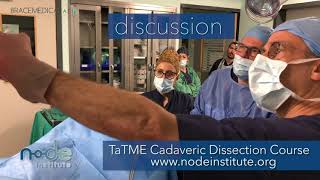 Transanal total mesorectal excision – TaTME