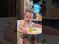 一岁人类幼崽可以准备考研了 小铁的家庭生活 小铁的整活日记 baby 宝宝 funny