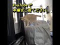 【防犯カメラ真夜中の猫達！】1 shorts