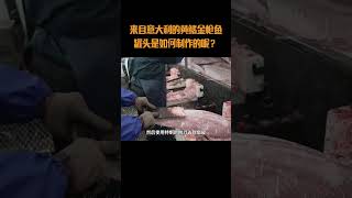 来自意大利的黄鳍金枪鱼罐头是如何制作的呢？#金枪鱼 #金枪鱼罐头