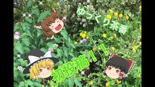 【ゆっくり茶番・自己紹介】初投稿！！