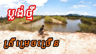 បង់ត្រីម្រេចម្តងមើល