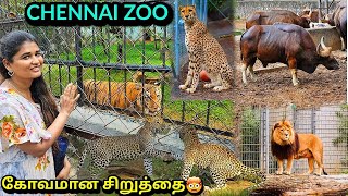 Aggressive Lion🤯 Angry cheetah💥| Arignar Anna Zoological park, vandalur, chennai zoo