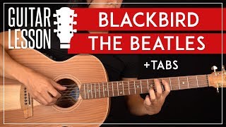 Blackbird Guitar Lesson 🎸 The Beatles Tutorial |Fingerpicking + TAB|