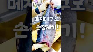 🐟메지마구로(어린 참치) 손질 과정 공개!⭐