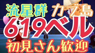 【あつ森】ライブ参加型　カブ価619ベル島や流星群　かぶ手数料なし　夜の部