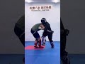 outer reap 形意八卦 拿肘掛腿 martialarts 武術 功夫 sparring fight kungfu judo bjj jujitsu 形意拳 八卦掌