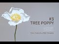 how to make crepe paper flowers with Flora magazine #3. tree poppy free template PDF download