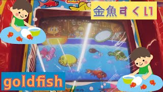 ドキドキ金魚すくい#1《メダルゲーム》/  goldfish scooping#1《medal game》