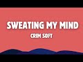 Sweeting My Mind - @Crim Soft (lyrics)