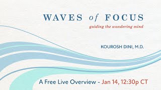 An Overview of Waves of Focus 2 - Guiding the Wandering Mind