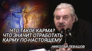 Что значит отработать карму по-настоящему.Николай Левашов.