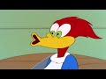 Woody Woodpecker  Blacksheep  Woody Woodpecker Full Episode  Kids Cartoon  Videos for Kids
