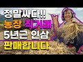 직거래 5년근 인삼 수삼 저렴하게 판매합니다 산지직송 금산인삼 풍기인삼 강화인삼 보은인삼 #5년근인삼 #6년근인삼 #인삼판매