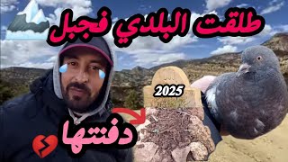 جولة مع الكلب 🐕 بيني اجواء البادية بعد سقوط أمطار الخير 🙏🤲🏞️