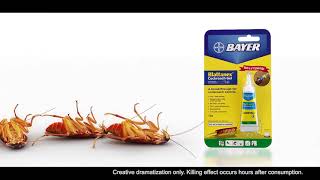 Blattanex® Cockroach Gel Next In Line