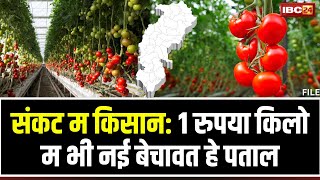 Tomato Farmers Chhattisgarh: 100 रुपया म बेचाने वाला पताल के अब 1 रुपया म भी नई हे लेवइया। देखव..