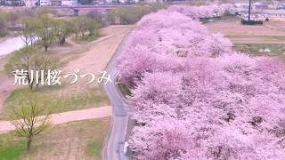 【福島県福島市】荒川桜づつみ河川公園をエア花見【古関裕而のまち】