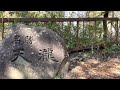 紅葉の天滝 秋の滝巡り・兵庫編