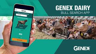 GENEX Dairy Bull Search App