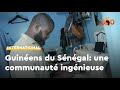 Sénégal: les Guinéens, dans leur deuxième patrie, contrôlent des pans entiers de l'économie