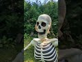 unboxing the halloween giant groundbreaking skeleton from costco