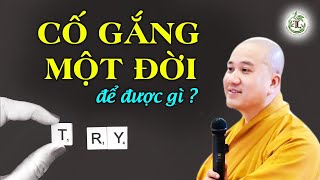 Cố Gắng Cả Đời Để Được Gì? - Thầy Thích Pháp Hòa (nghe thấm quá)