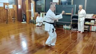 沖縄小林流空手(Okinawa Shorin-ryu Karate)#25　ピンアン五段(Pinan Godan)　相手をイメージしながらやってみた