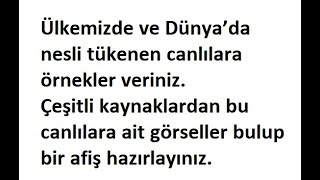 Ülkemizde ve Dünya’da nesli tükenen canlılara örnekler veriniz Çeşitli kaynaklardan bu canlılara ait