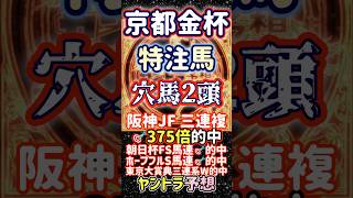 京都金杯特注穴馬2頭 穴→○→▲🎯三連複89.8倍的中♪ #競馬予想 #シャドウフューリー #ドゥアイズ #ウォーターリヒト