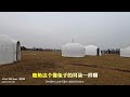 谁知道乳山银滩潮汐湖湿地公园西面这些白色圆房子是做什么用的？