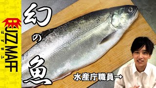 【滋賀県産ビワマス】水産庁職員が捌いて食べる動画