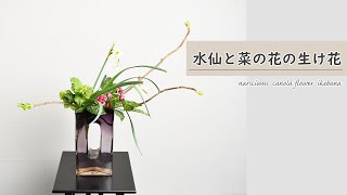 【水仙の菜の花の生け花】ガラスの花瓶に春の花を生けてみたよ アレンジひとつで見え方が変わる！ ikebana style class Japanese flower arrangement