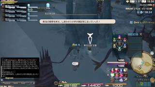 FF14 GRANSEEDS エウレカ：ピューロス編　LV35 珊瑚狙いのしあわせうさぎ　黄金の財宝箱９