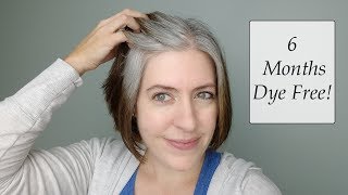 Transitioning to Gray Hair | Month 6